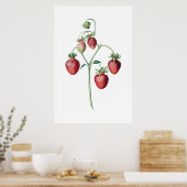 STAMMEREN - botanische afdruk Poster (Keuken)