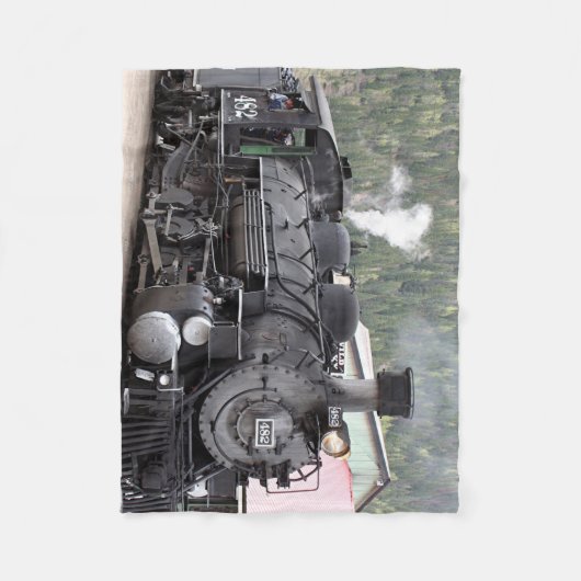 Stammotor: Colorado, Verenigde Staten Fleece Deken (Voorkant)