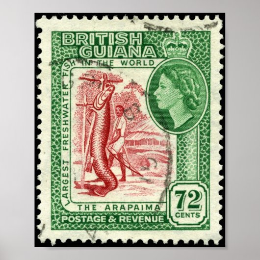 Stamp British Guiana 1954 72c Portfolio Poster (Voorkant)
