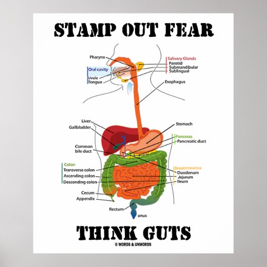 Stamp Out Fear Think Guts (Humor spijsverteringsst Poster (Voorkant)