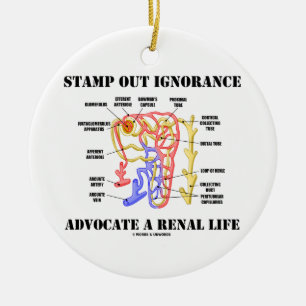 Stamp Out Ignorance Advocate Renal Life Nephron Keramisch Ornament