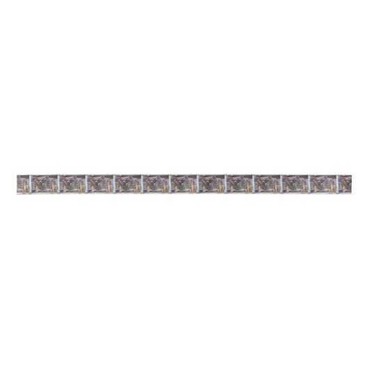 Stampede 8 seconden lint (Voorkant)