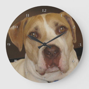 Stan Wall Clock Grote Klok