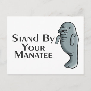 Stand-by uw Manatee Briefkaart