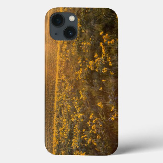 Stand van de wilde bloemen van Arrowleaf Balsamroo Case-Mate iPhone Case (Achterkant)