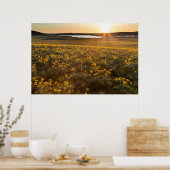 Stand van de wilde bloemen van Arrowleaf Balsamroo Poster (Keuken)