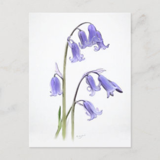 Standaard, 12.7 cm x 17.8 cm Vouwansichtkaart Briefkaart
