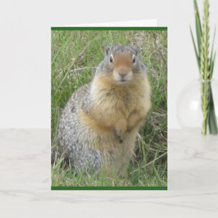 Standaard, 5 x 7 inch gevouwen Wenskaart Kaart