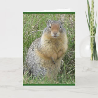 Standaard, 5 x 7 inch gevouwen Wenskaart Kaart