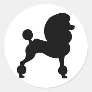Standaard afgeknipte pool ronde sticker