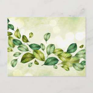 Standaard Briefkaart