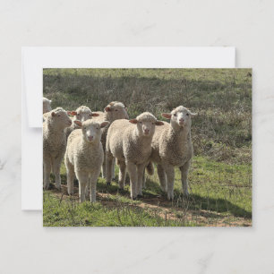 Standaard briefkaart