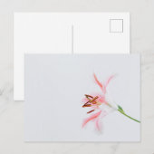 Standaard Briefkaart (Voorkant / Achterkant)