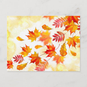 Standaard Briefkaart