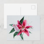 Standaard Briefkaart (Voorkant / Achterkant)