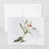 Standaard Briefkaart (Voorkant / Achterkant)