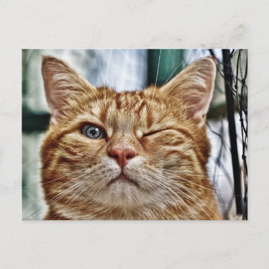 Standaard Briefkaart (Voorkant)