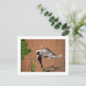 Standaard briefkaart (Staand voorkant)