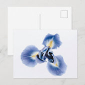 Standaard Briefkaart (Voorkant / Achterkant)