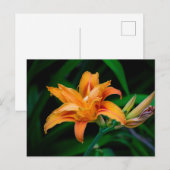 Standaard Briefkaart (Voorkant / Achterkant)