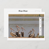 standaard briefkaart (Voorkant / Achterkant)