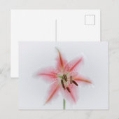 Standaard Briefkaart (Voorkant / Achterkant)