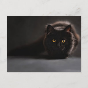 Standaard Briefkaart