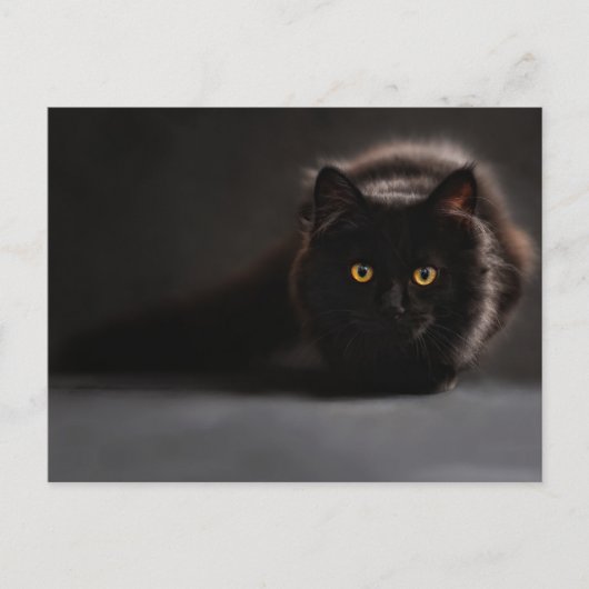 Standaard Briefkaart (Voorkant)