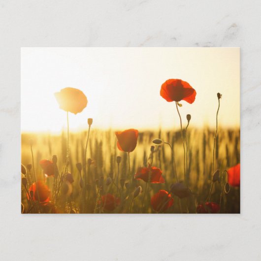 Standaard Briefkaart (Voorkant)