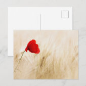 Standaard Briefkaart (Voorkant / Achterkant)