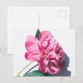 Standaard Briefkaart (Voorkant / Achterkant)