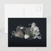 Standaard Briefkaart (Voorkant / Achterkant)