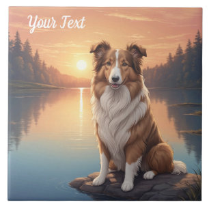 Standaard Collie bij Lake Tegeltje