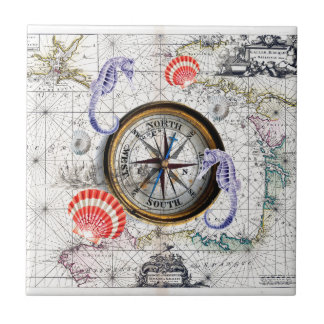 standaard compass tegeltje
