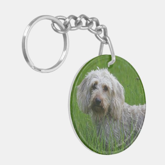 Standaard dachshund met wierharing in gras sleutelhanger (Voorkant Links)