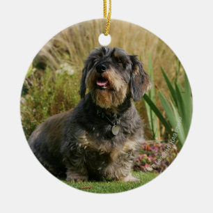 Standaard Dachshund met wirespeed Keramisch Ornament
