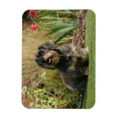 Standaard Dachshund met wirespeed Magneet (Verticaal)