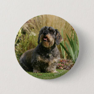 Standaard Dachshund met wirespeed Ronde Button 5,7 Cm