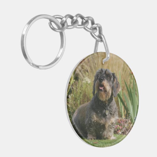 Standaard Dachshund met wirespeed Sleutelhanger (Voorkant Links)