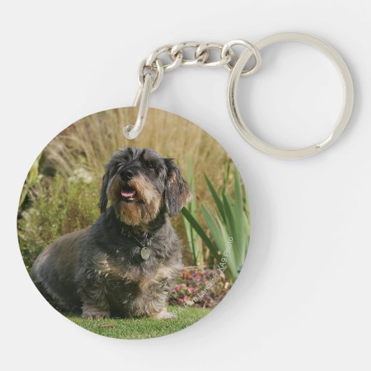 Standaard Dachshund met wirespeed Sleutelhanger (Achterkant)