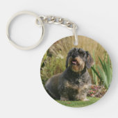 Standaard Dachshund met wirespeed Sleutelhanger (Voorkant)