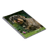 Standaard Dachshund-spits met aderharing Notitieboek (Rechterzijde)