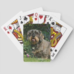 Standaard Dachshund-spits met aderharing Pokerkaarten