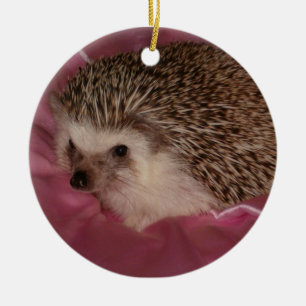 Standaard egelvormgeving keramisch ornament