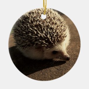 Standaard egelvormgeving keramisch ornament