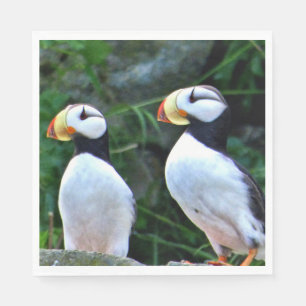 Standaard Luncheon papieren servetten w / papegaai