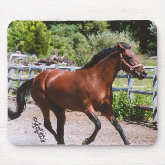 Standaard paarden Galloping Mousepad Muismat (Voorkant)