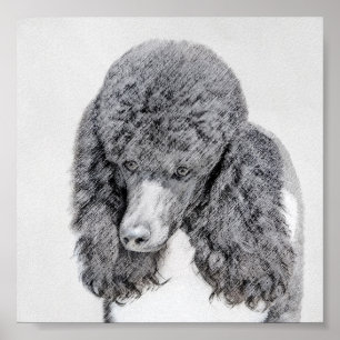 Standaard paarsgewijs zwart parti schilderen - Dog Poster