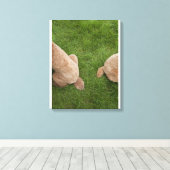 Standaard poedel 5 canvas afdruk (Insitu (Houten vloer))