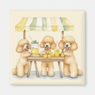 Standaard poedelhonden die een limonade stand runn magneet